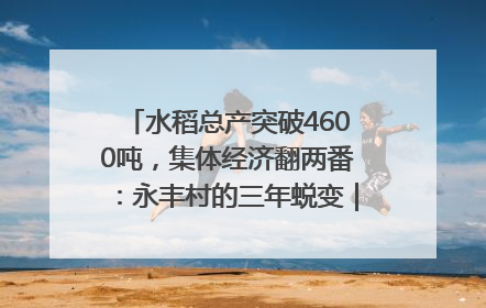 水稻总产突破4600吨，集体经济翻两番：永丰村的三年蜕变｜您牵挂的四川